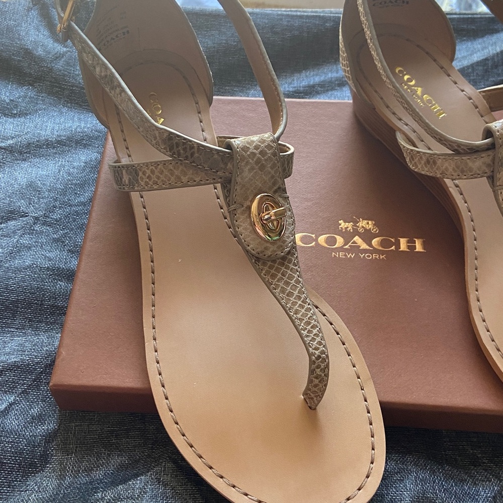 Coach Ingrid Snake Print Leather Thong Sandals size 7 or 8 NIB - Picture 2 of 3